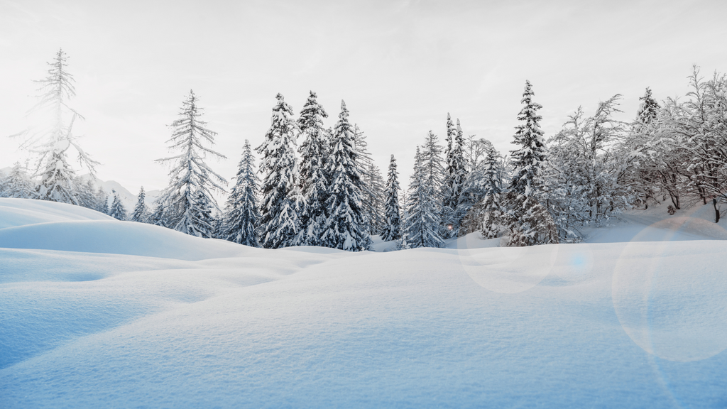 5 Tips for Maintaining Coolant in Cold Weather